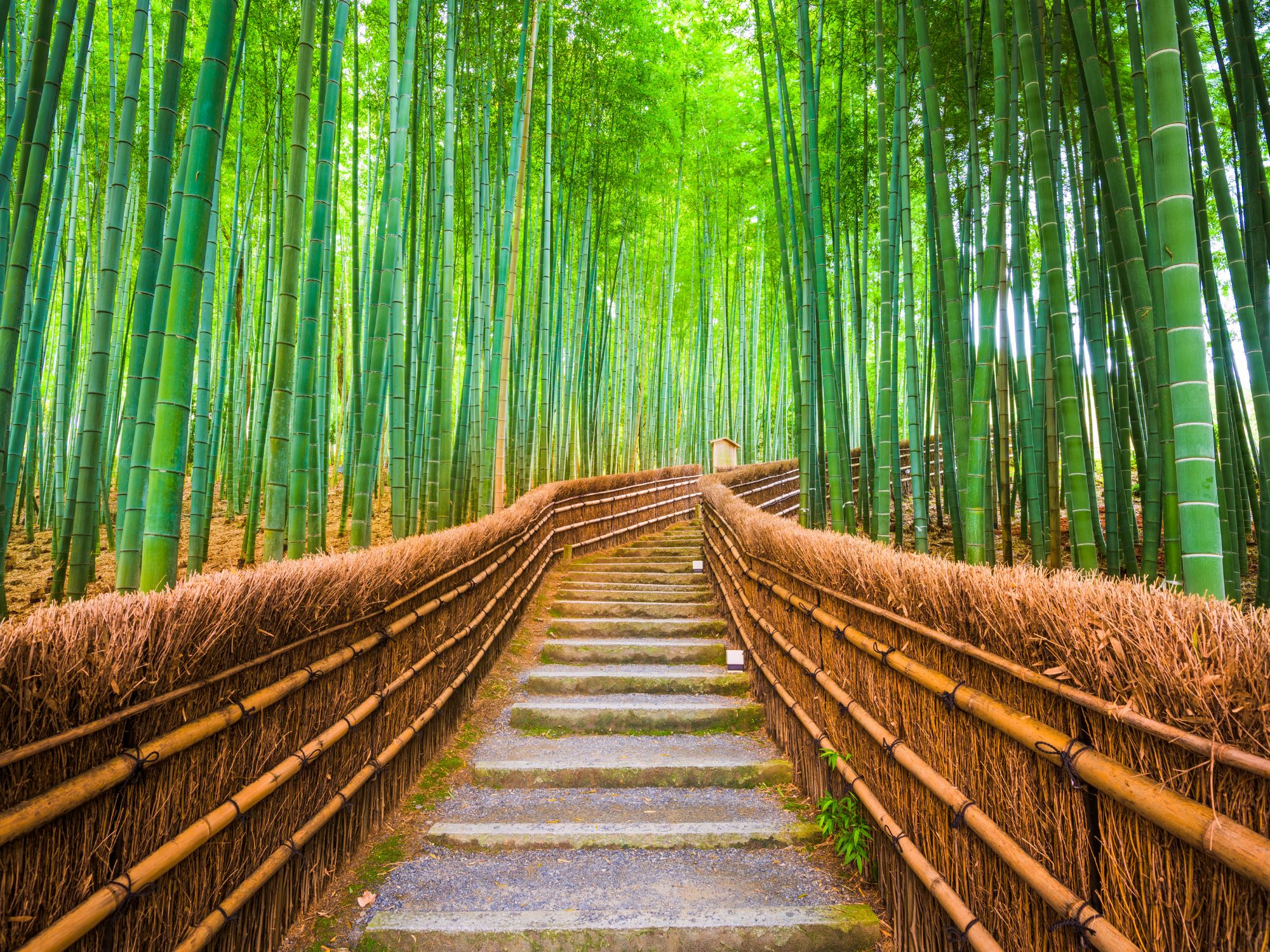 viajes a japón