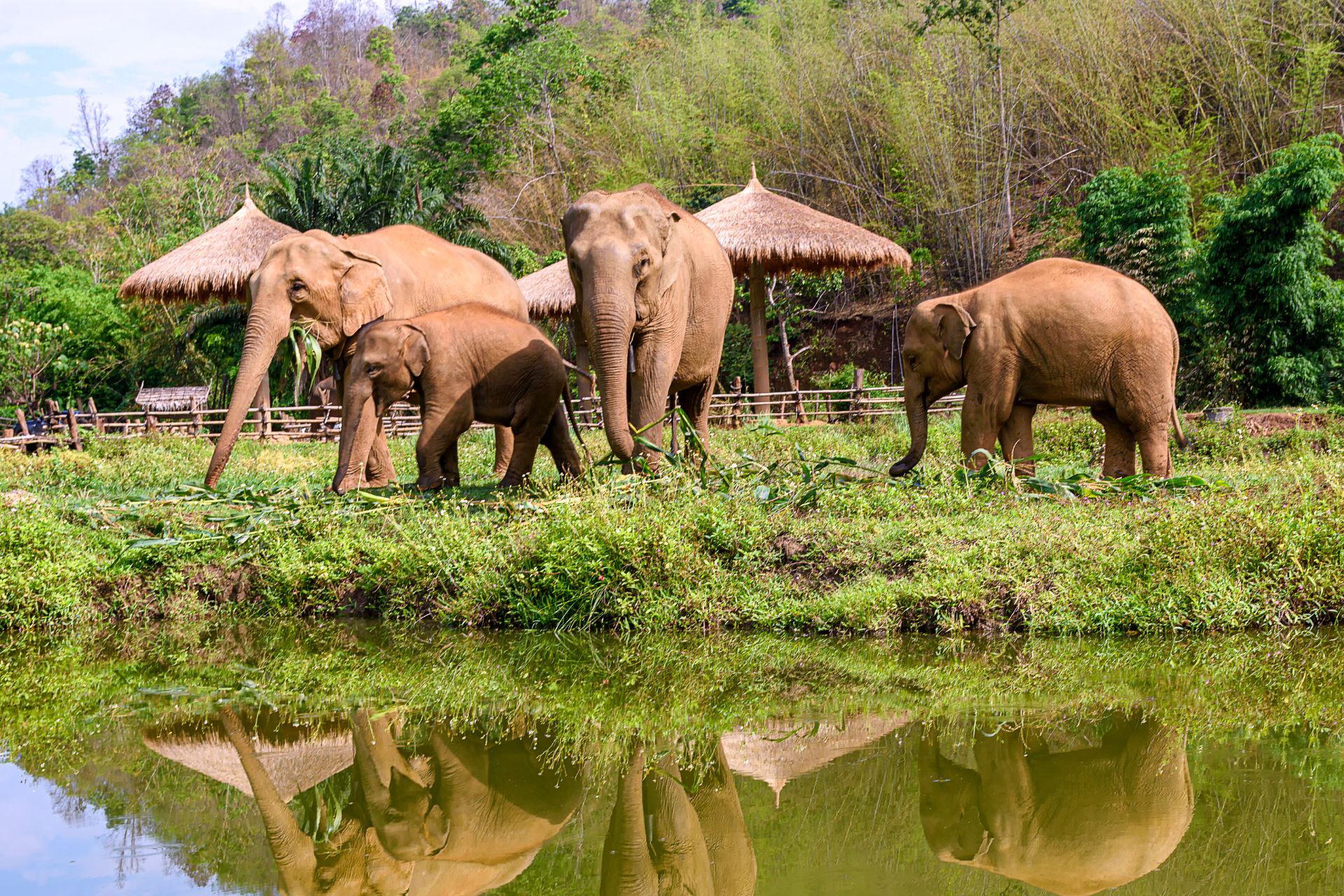 viaje a vietnam, camboya y tailandia