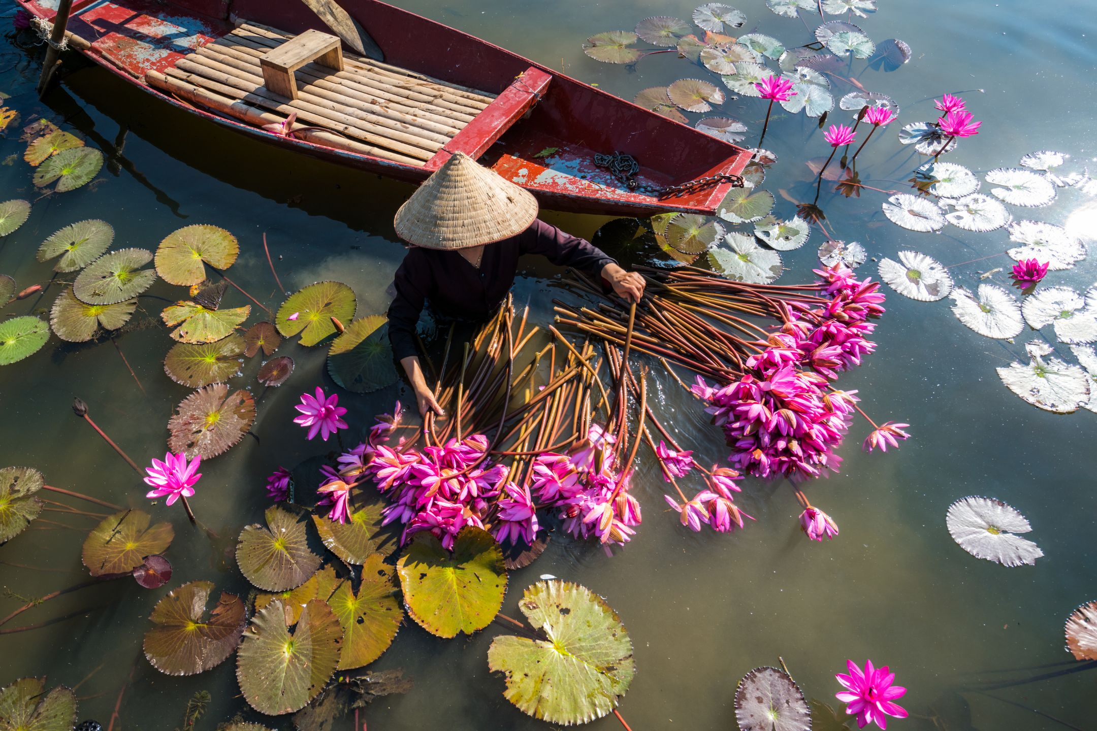 viajes a vietnam tailandia y playa