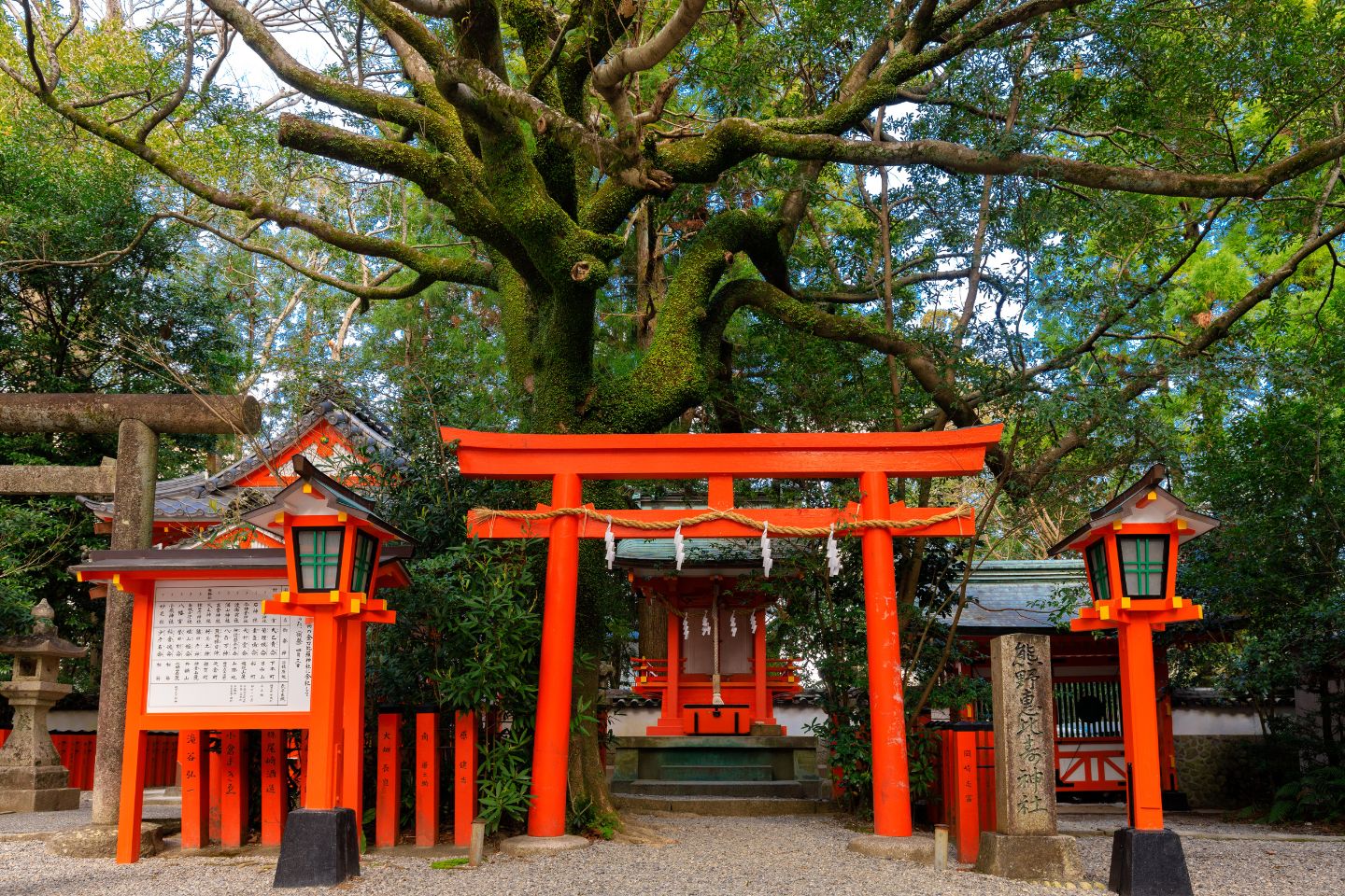 CAMINO DE KUMANO
