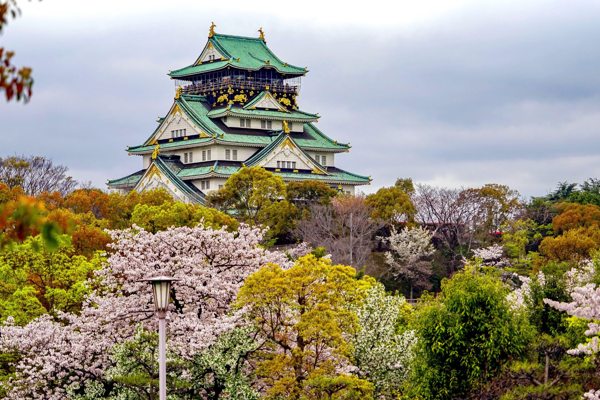 viaje a japon y china