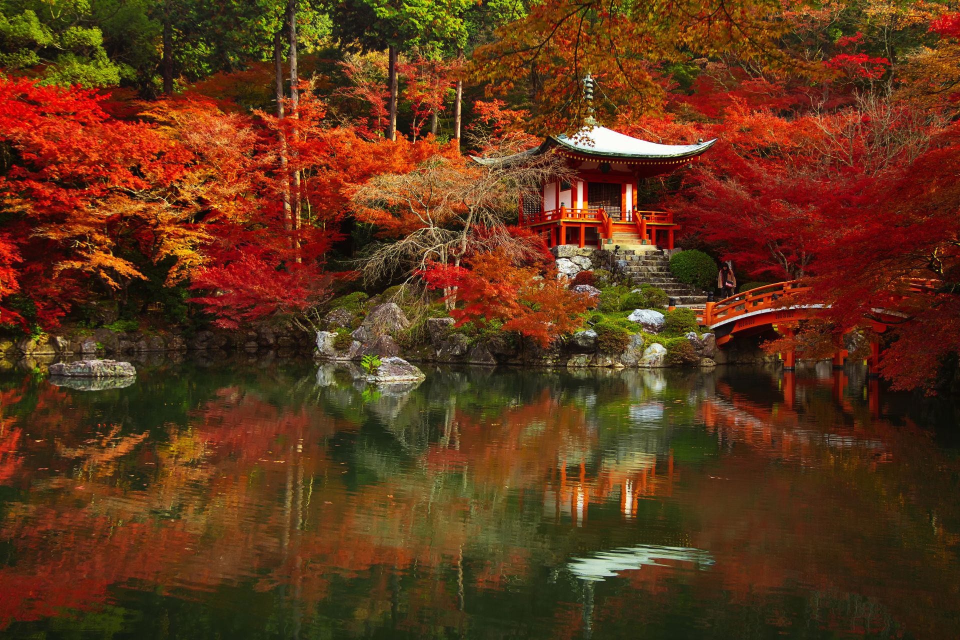 viaje japoon momiji